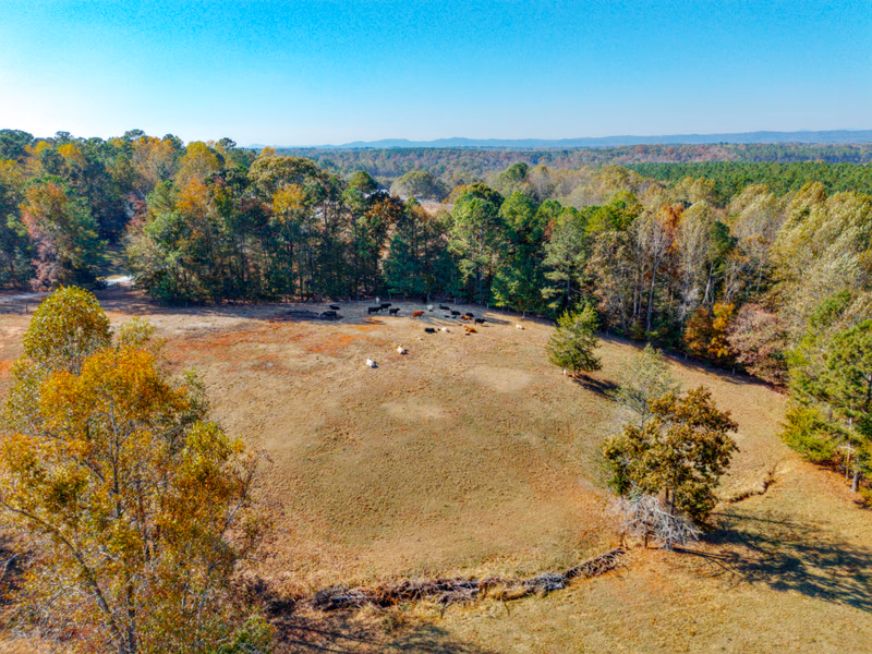 Acres for Grazing