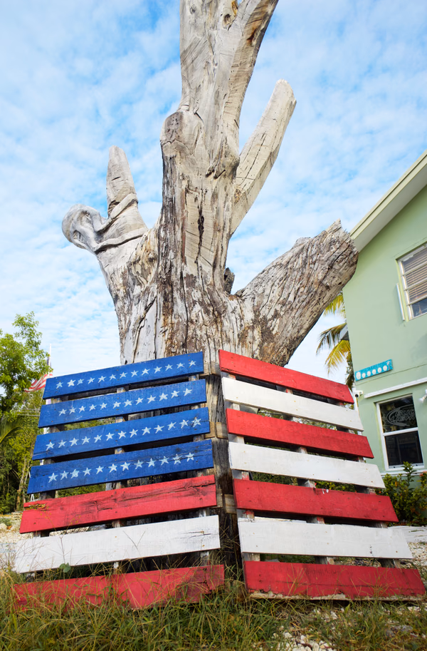 American Palette