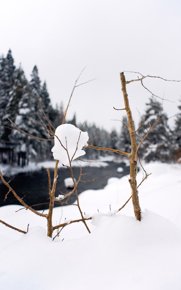 Blizzard on the Truckee