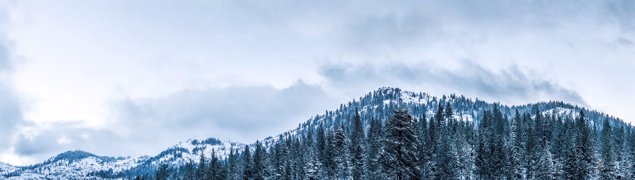 Cabin Fever Panorama