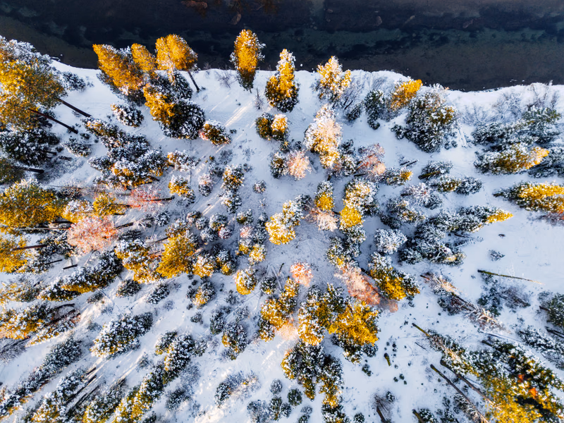 Crystaline Snowfall