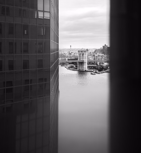 Dumbo Reflection
