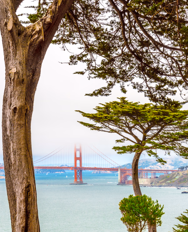 Golden Gate Gazing