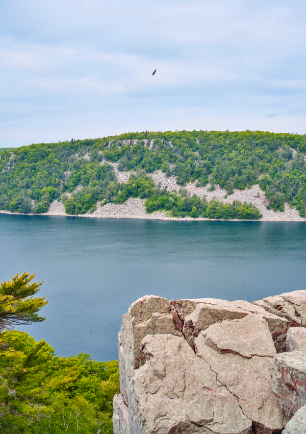 Hawk Above Devil's Lake
