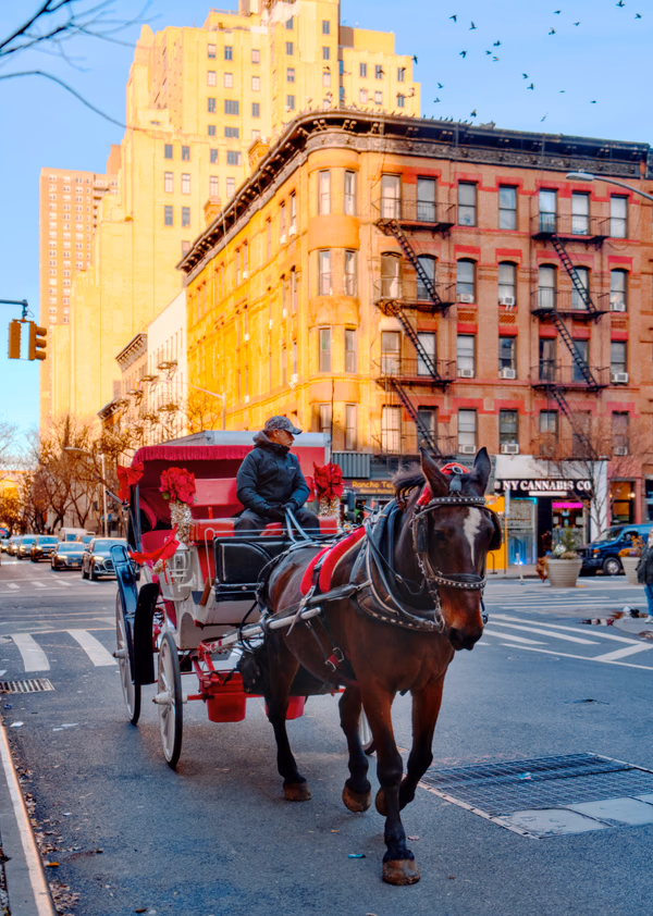 Hell's Kitchen Carriage