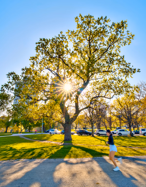 Lincoln Park Sunset Jog