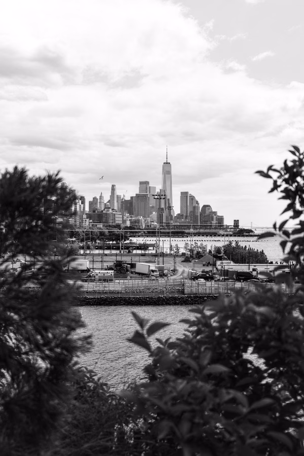 Manhattan Bird's Nest