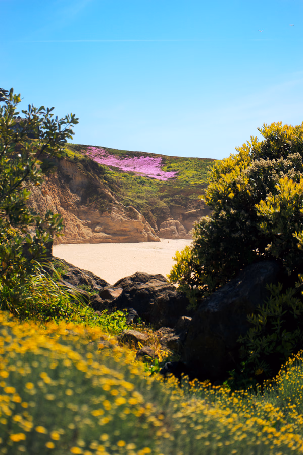 Montara Spring