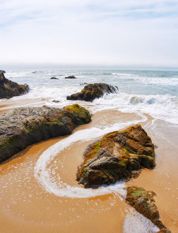 Pescadero Wavefront