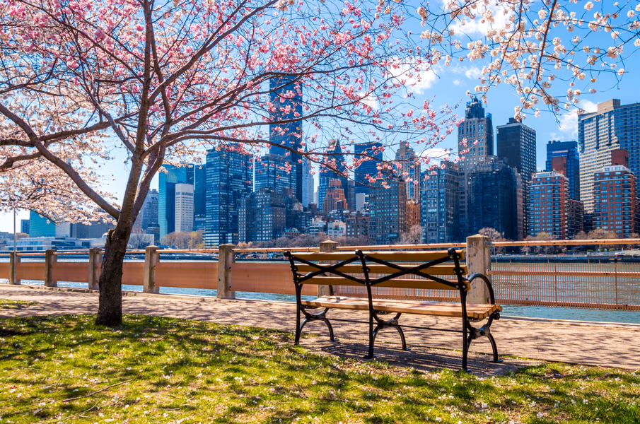 Roosevelt Island Resting