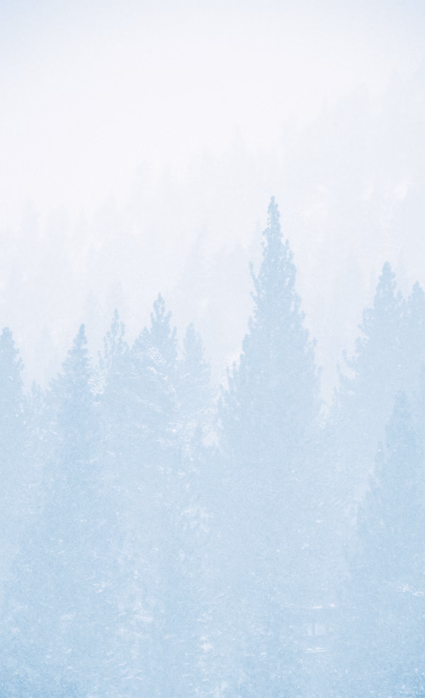 Sierra Snow