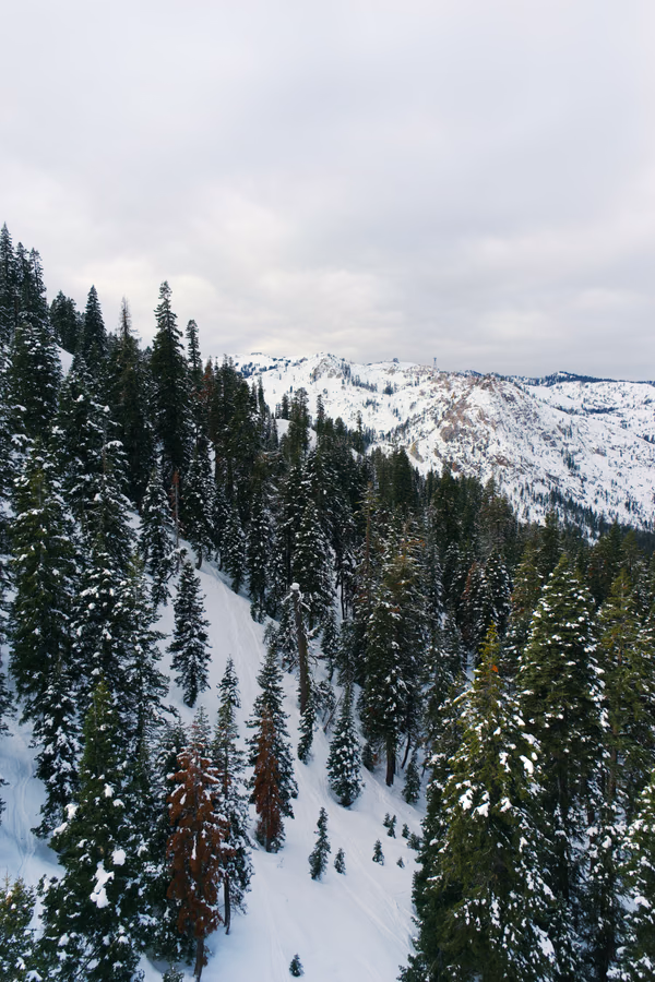 Squaw Creek Trails