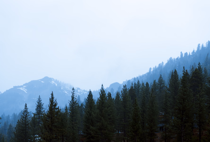 Squaw Mist