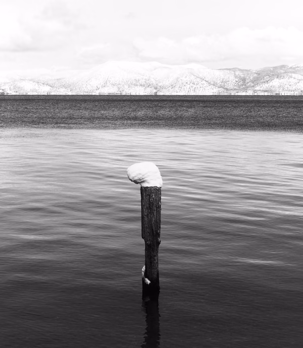 Stranded Snow