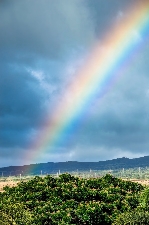 The Rainbow State