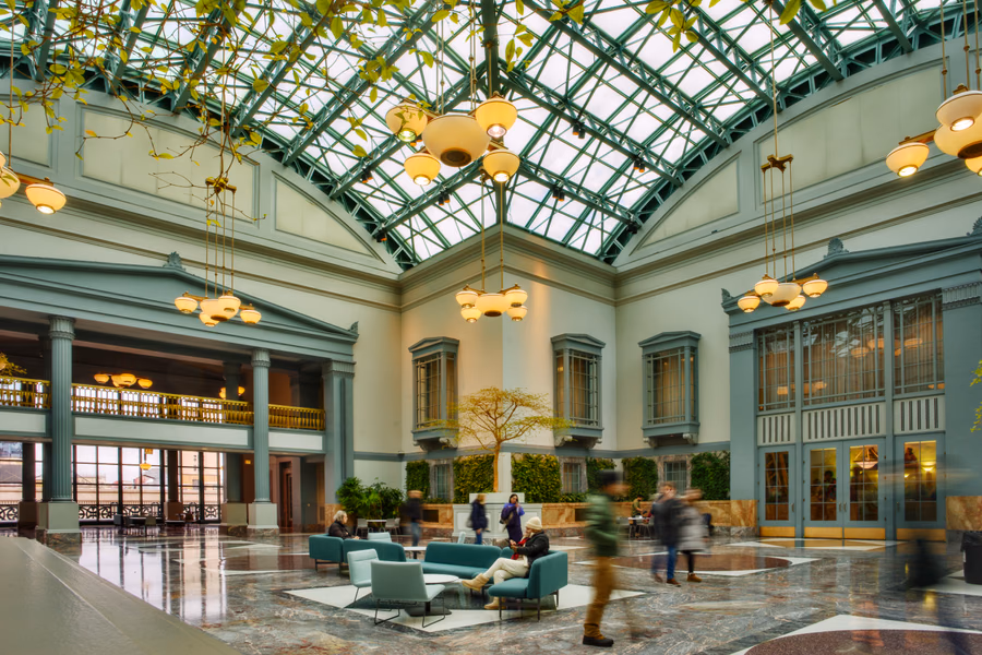 The Winter Garden