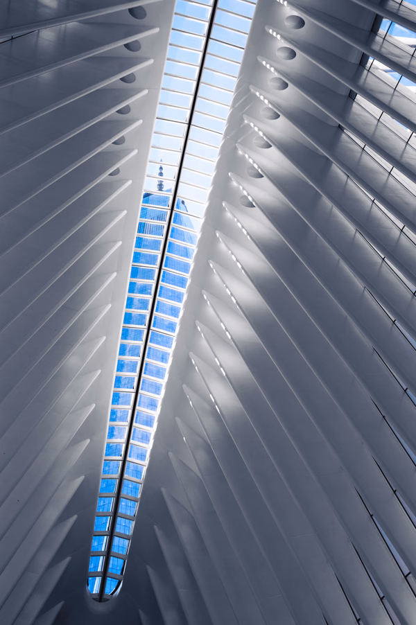 Through the Oculus