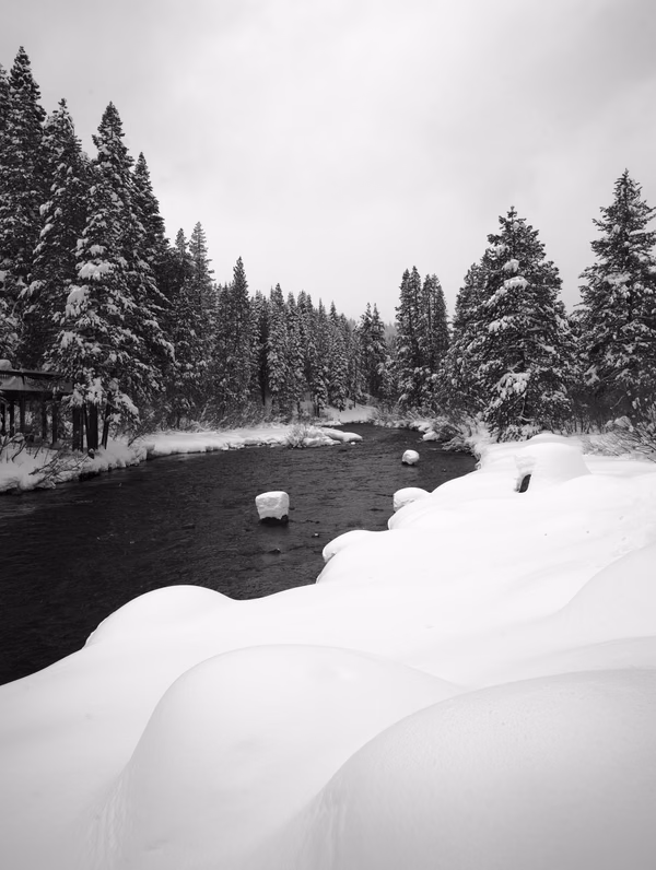 Truckee Riviera
