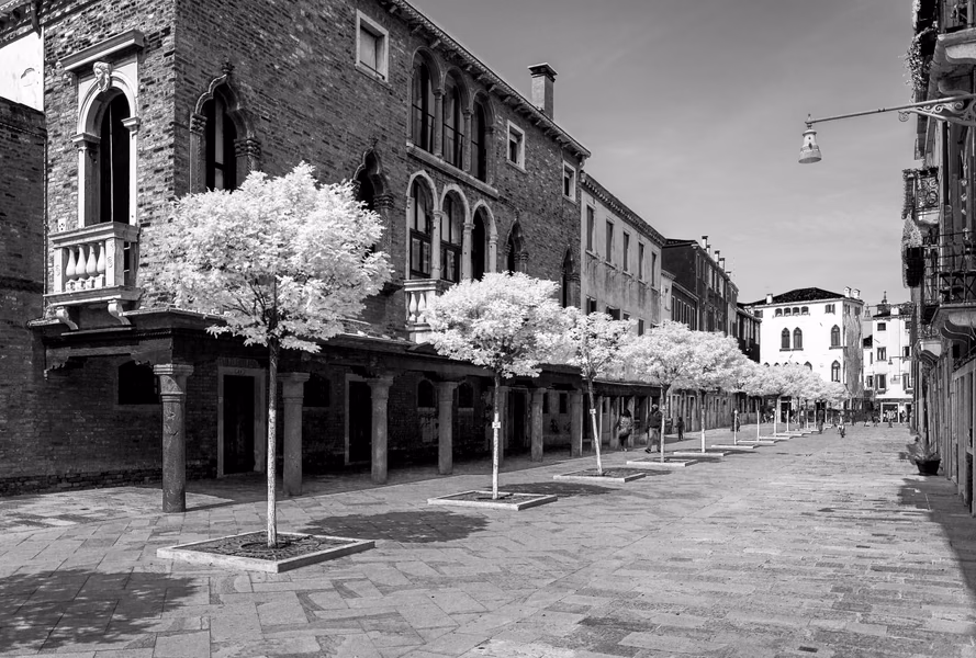 Venetian Arbory