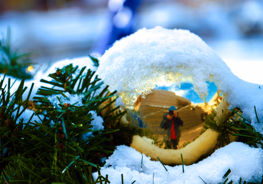 Winter Reflection